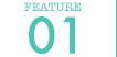 feature01